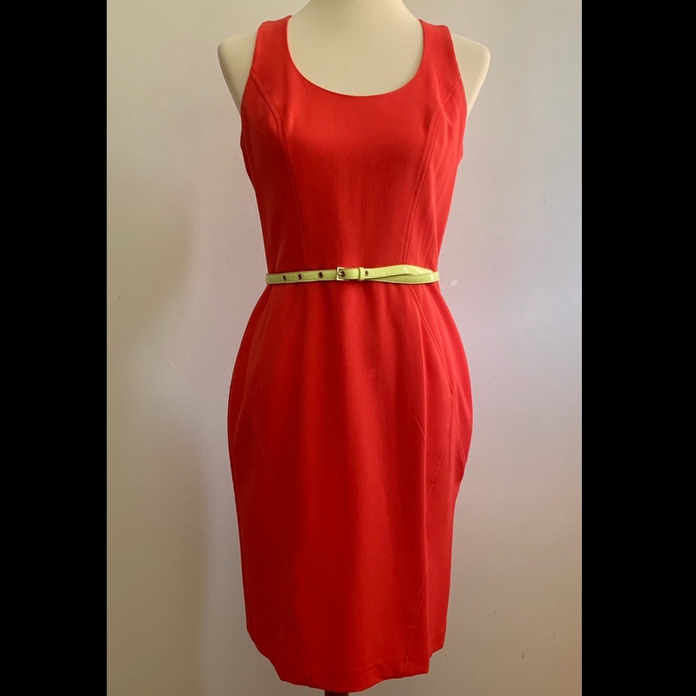 Vince Camuto pink paradise belted dress